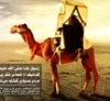 نبذة من حیاة عائشة