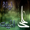 The reliance of Imam Ali [AS] on “Laylat al-Mabit” in six-person council