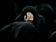 Has any spiritual reward been said for mourning and crying for “Ahl al-Bayt” [AS] in Sunni narratives?