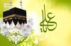 BIRTH ANNIVERSARY OF COMMANDER OF FAITHFUL IMAM ALI BEING CELEBRATED