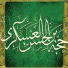 Has the birth of imam “Mahdi” [a.s] only been quoted via “Hakimah”? Do Shias accept this matter?