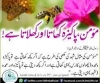 اھل سنت کے امام کا عجیب فتوا :

کیڑے مکروڑے اور حشرات کا کھانا جائز ہے ۔