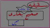 جناب عمر بن خطاب کی زبانی سقیفہ کا ماجرا [ صحیح بخاری کی روایت پ