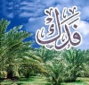 امیرالمومنین علی علیہ السلام نے اپنے دور حکومت میں فدک کا مطالبہ کیوں نہیں کیا؟